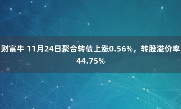 财富牛 11月24日聚合转债上涨0.56%，转股溢价率44.75%